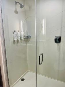 y baño con ducha y puerta de cristal. en Fairfield Inn & Suites by Marriott Staunton, en Staunton