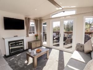 a living room with a fireplace and a tv at Foxglove Lodge in Saltburn-by-the-Sea