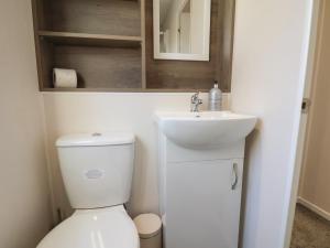 a small bathroom with a toilet and a sink at Foxglove Lodge in Saltburn-by-the-Sea +16 photos