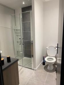 a bathroom with a toilet and a glass shower at Appartement au cœur du village in Marlhes