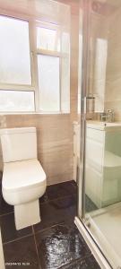 een badkamer met een toilet, een wastafel en een douche bij Daisy Garden in Marylebone in Londen