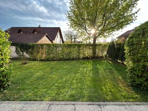un patio con valla y césped verde en Ferienwohnung am Bodensee, en Tettnang