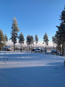 a snow covered field with trees in the background at Vackert fjällhus med underbar utsikt in Järvsö