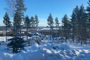 雅夫索的住宿－Vackert fjällhus med underbar utsikt，地上堆积着树木的积雪