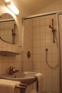 ein Bad mit einer Dusche und einem Waschbecken in der Unterkunft Weingut Loescher in Senheim