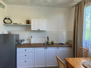 Kuchyňa alebo kuchynka v ubytovaní Guesthouse Hodak