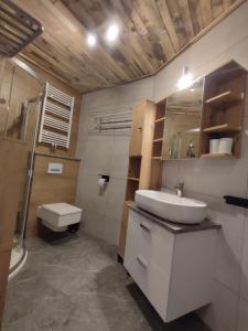 uma casa de banho com um lavatório e um WC em Noclegi pod Wiaduktem em Wałbrzych