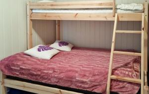 a bunk bed with two pillows and a ladder at Vacation apartment in Hornnes