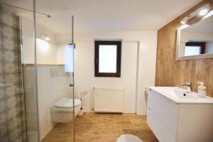 W łazience znajduje się prysznic, umywalka i toaleta. w obiekcie Pokoje Gościnne Stanek w Zakopanem