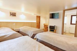 pokój hotelowy z 2 łóżkami i telewizorem w obiekcie Pokoje Gościnne Stanek w Zakopanem