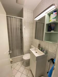 a bathroom with a toilet and a shower and a sink at Harry's Apartment in Erfurt