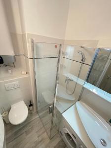 W łazience znajduje się prysznic, toaleta i umywalka. w obiekcie Siesta Apartman w mieście Balatonberény