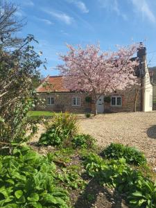 a house with a flowering tree in front of it at Brook Cottage in Kelling