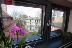 a window with a view of a white building at Apartament "Przy Rynku" in Gliwice