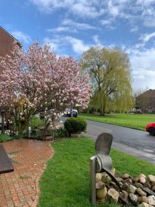 una estatua en la hierba junto a un árbol con flores rosas en FeWo an der Weser, en Nordenham