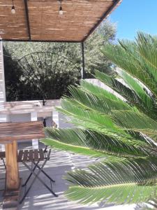 a patio with a bench and a palm tree at Casa Rifa in Serramanna