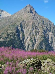 Fotografia z galérie ubytovania Très joli studio aux 2 Alpes au pied des pistes v destinácii Les Deux Alpes