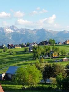a green field with mountains in the background at Apartament z widokiem na góry in Ząb
