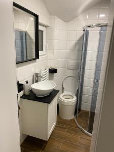 a bathroom with a toilet and a sink and a shower at Apartman MIMI in Vrnjačka Banja