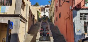 an alley with stairs in a city with red flowers at Casa Andrea Teror in Teror +15 photos
