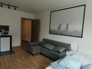 Kuchyňa alebo kuchynka v ubytovaní Brand new studio apartment #21 with free secure parking in the center