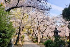 Giardino di Floral Hotel East Shinsaibashi