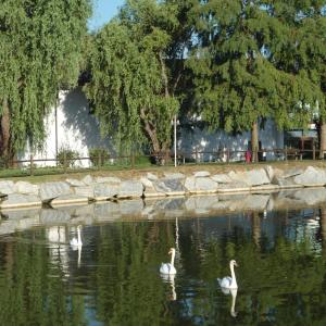 Výhled na řeku, která protéká v blízkosti hotelu