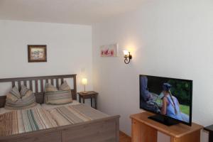 Televízia a/alebo spoločenská miestnosť v ubytovaní Appartement Hohe Mut