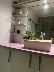 W łazience znajduje się umywalka i lustro. w obiekcie BLACK CANE LODGE w mieście Saint-Claude