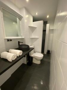 a bathroom with a toilet and a sink and a mirror at Central Rooms Apartment in Toruń