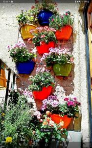 un groupe de plantes en pot sur un mur dans l'établissement charming full of character in the heart Southwell, à Southwell