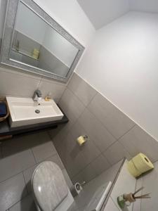 Koupelna v ubytování Appartment in Kammerl