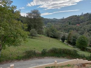 une vue sur une colline herbeuse avec une route dans l'établissement Casa pipete, à Siero