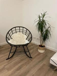 a chair sitting in a room with two plants at Stilvolle Ferienwohnung bei Bad Segeberg in Blunk