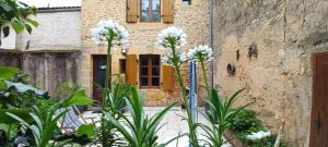 a garden with white flowers in front of a building at villa Marguerite terrasse & garage in Belvès