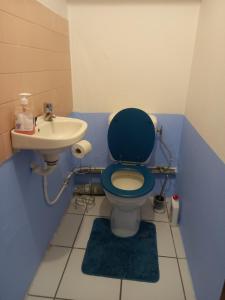 a blue bathroom with a toilet and a sink at Niky house in Fort-de-France