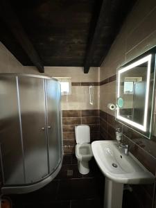 uma casa de banho com um lavatório, um chuveiro e um WC. em Ara E Vjeter Resort em Velipojë