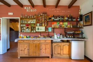 a kitchen with wooden cabinets and a counter at Mas Rubió in Joanetes