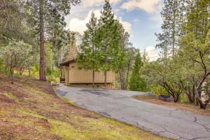 uma estrada que leva a uma cabana na floresta em Serene Groveland Cabin Rental Near Yosemite! em Groveland