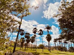 un groupe de palmiers dans un parc sous un ciel nuageux dans l'établissement FABULEUX STUDIO Centre ville Fort De France Martinique CAPITALE, à Fort-de-France