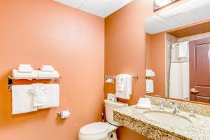 La salle de bains est pourvue de toilettes, d'un lavabo et d'un miroir. dans l'établissement Chula Vista Resort #2217, à Wisconsin Dells