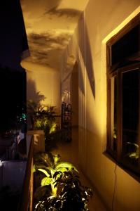 a house with a window and a plant in front of it at Tattva Luxurious Apartment in Varanasi