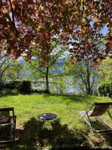 een tafel en een stoel in het gras bij een boom bij Cottage sotto il faggio centenario in Ameno