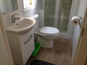 a bathroom with a toilet and a sink and a shower at Camping Denis in Brenzone sul Garda