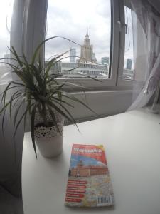 eine Pflanze, die auf einem Fensterbrett neben einem Buch sitzt in der Unterkunft Warszawa Centrum Apartament Daniella in Warschau