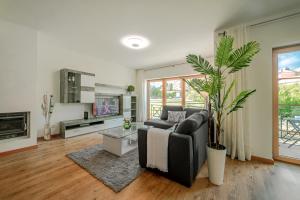 a living room with a couch and a potted plant at Casa do Fotógrafo in Sintra