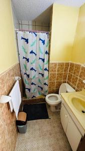 Baño con cortina de ducha con delfines. en Hotel Central Park, en San Pedro