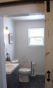 a bathroom with a toilet and a sink and a window at Private Cottage with Huge Private Dog Park! in Barrys Bay