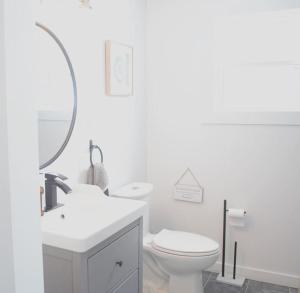 a bathroom with a toilet and a sink and a mirror at Private Cottage with Huge Private Dog Park! in Barrys Bay