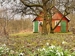 Vườn quanh 4 person holiday home in SÖLVESBORG-By Traum